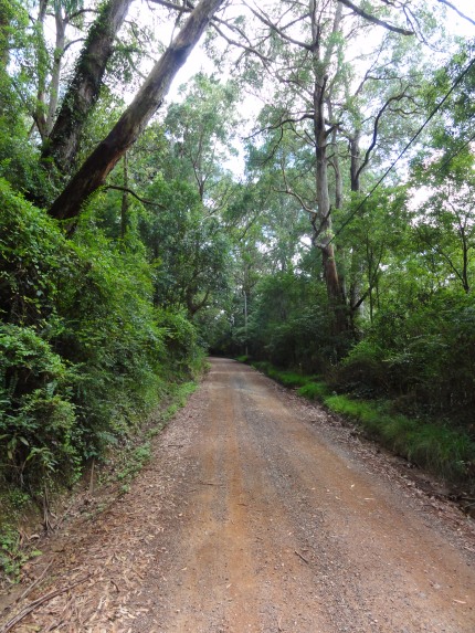An Easy Option To Climb Out Of The Morton National Park