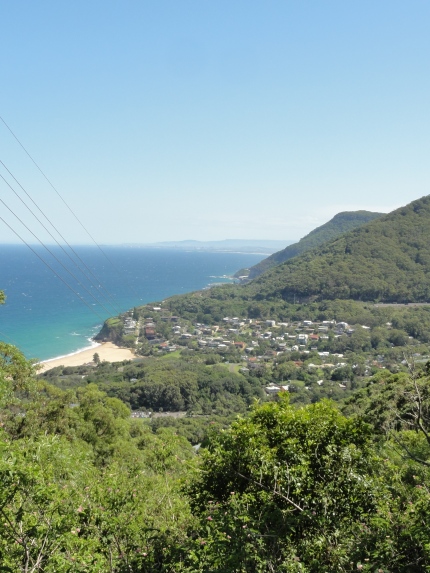 Looking South From Bald Hill